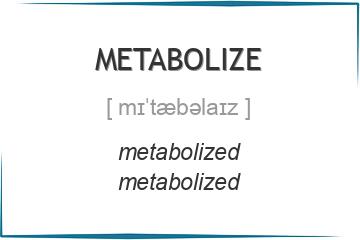 metabolize 3 формы глагола