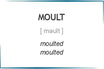 moult 3 формы глагола