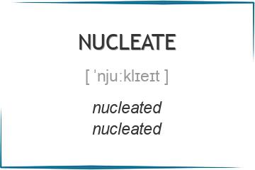 nucleate 3 формы глагола