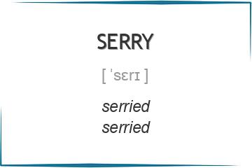 serry 3 формы глагола