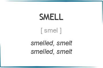 smell 3 формы глагола
