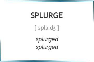 splurge 3 формы глагола