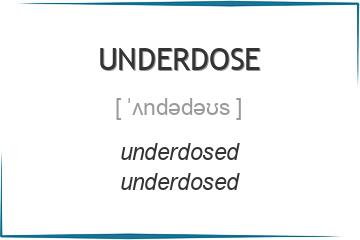 underdose 3 формы глагола